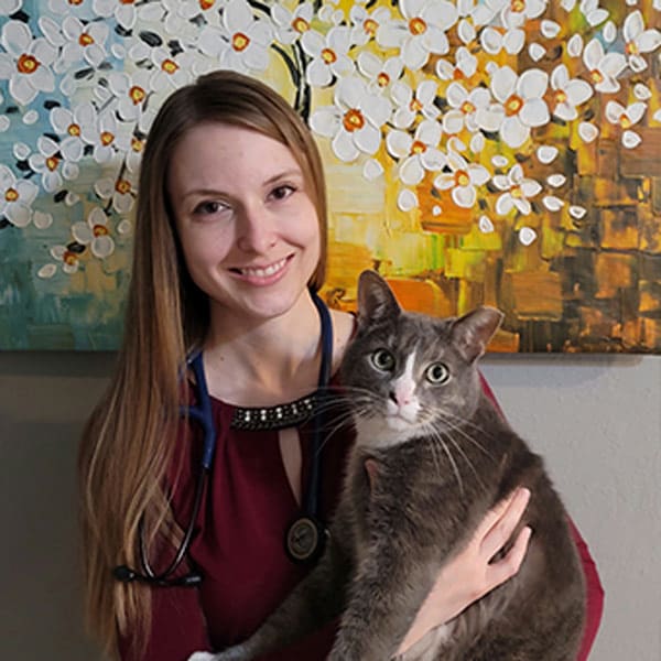 Dr. Crystal Herr, San Diego Veterinarian