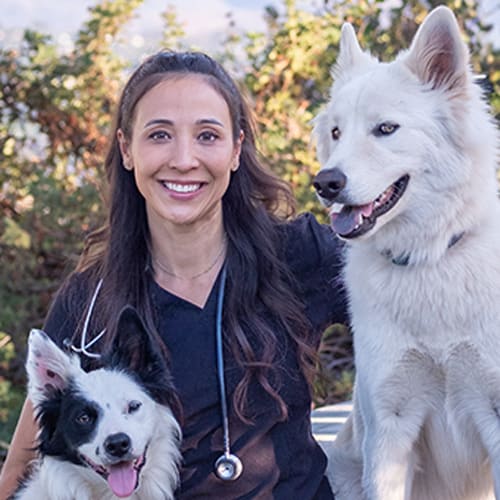 Dr. Allison Luecking, San Diego Veterinarian
