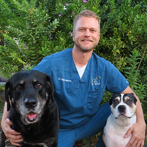 Dr. Diego Espinosa, San Diego Veterinarian