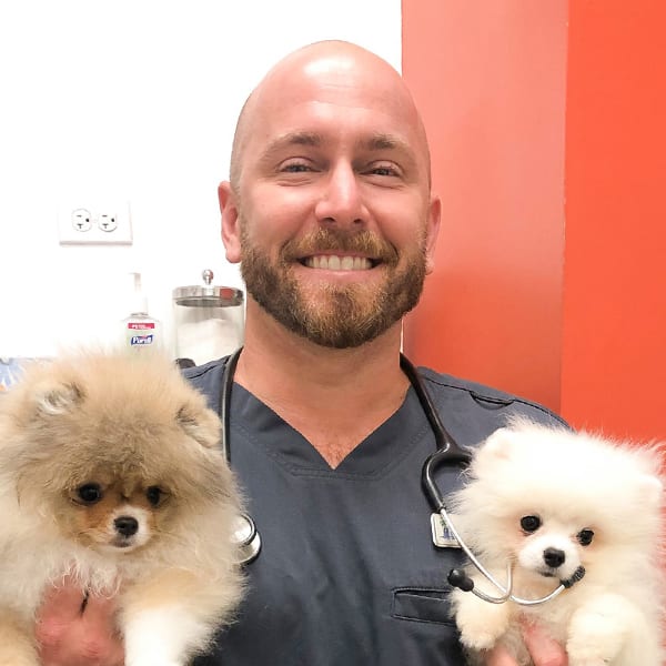 Meet Dr. John Traversi, San Diego Veterinarian
