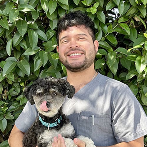 Dr. Sebastian Vasquez, San Diego Veterinarian